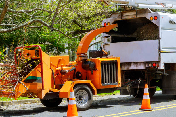 Lawn Drainage Solutions in Grants Pass, OR