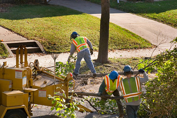 Landscape Design and Installation in Grants Pass, OR